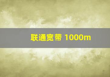 联通宽带 1000m